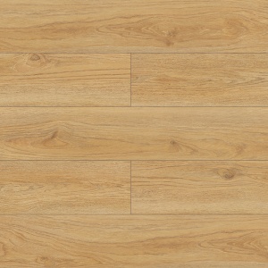 Symfonia Legato Oak 12mm Laminate Flooring D4528